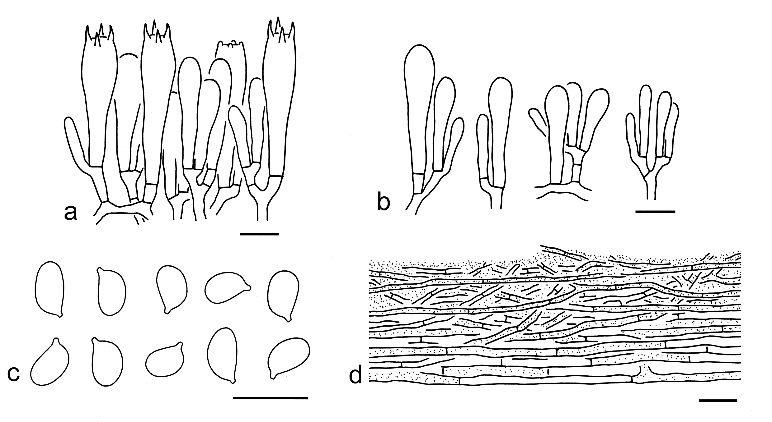 Figure 26